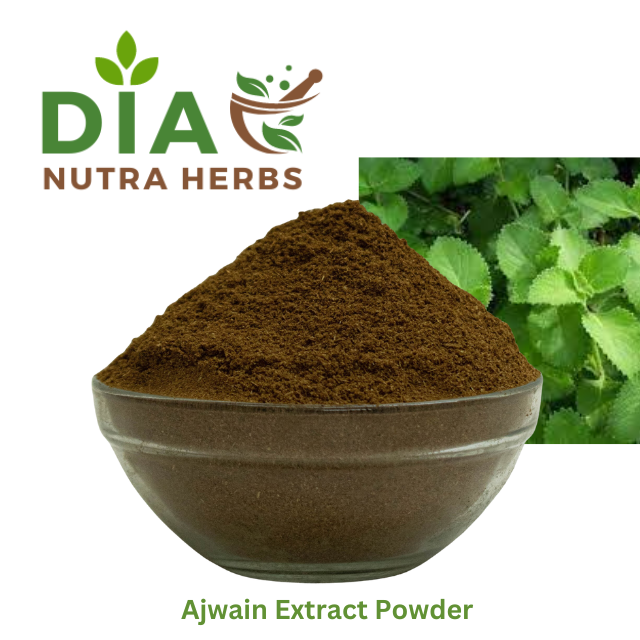 Ajwain Extract Powder