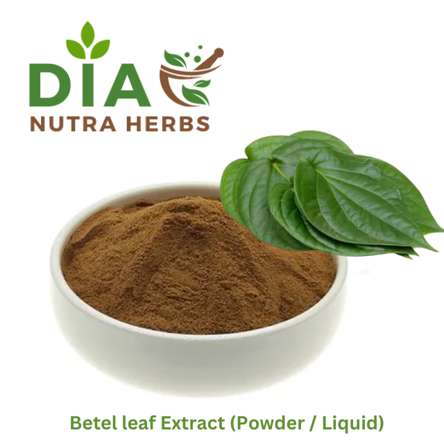 Betel leaf Extract (Powder Liquid)