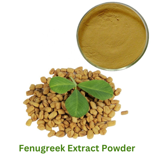 Fenugreek extract (Powder )