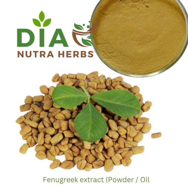 Fenugreek extract (Powder Oil