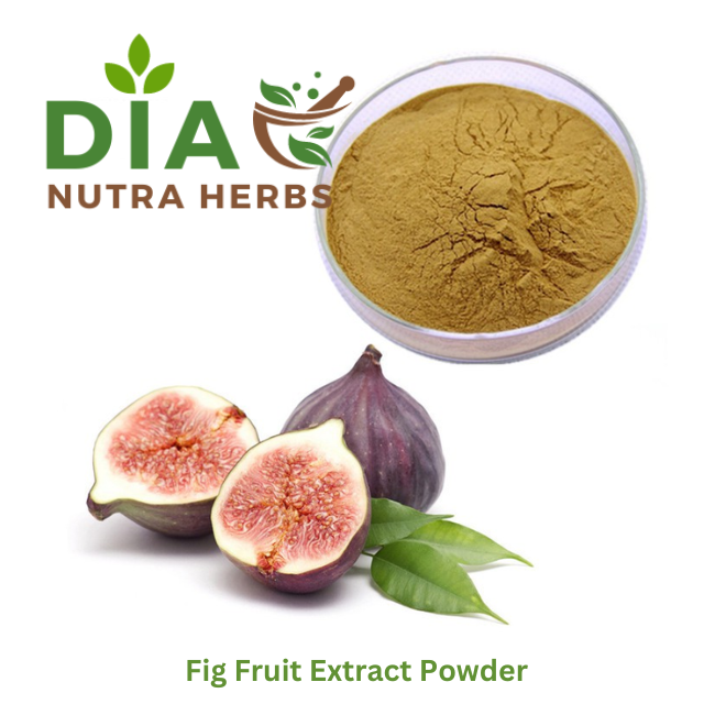 Fig Fruit Extract Powder