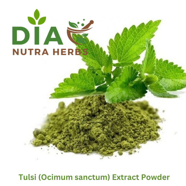 Tulsi (Ocimum sanctum) Extract Powder